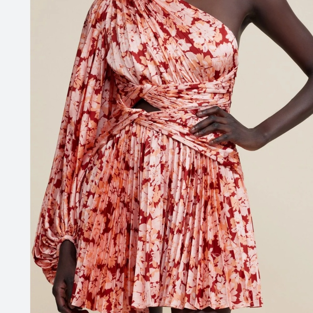 Acler mini dress in coral / burgundy shades a US 2, worn once and drycleaned